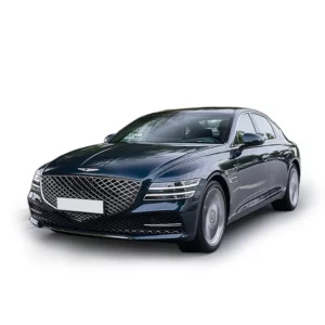 Genesis G80 Mileage Blocker 2020 – 2025