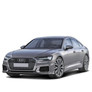 Audi A6/S6/RS6 C8 Mileage Blocker 2018 – 2024
