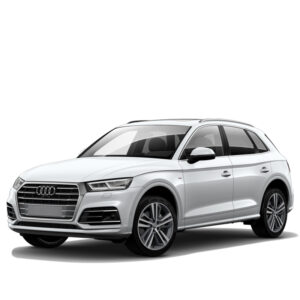 Audi Q5/SQ5 FY Mileage Blocker 2016 – 2024