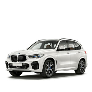 BMW X5 G05 Mileage Blocker 2018 – 2023
