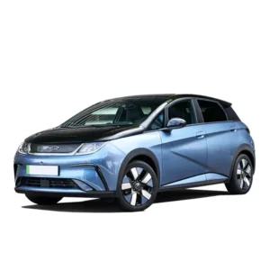 BYD Dolphin Mileage Blocker 2022 – 2025