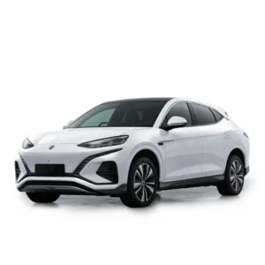 BYD Denza N7 Mileage Blocker 2023 – 2025