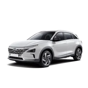 Hyundai Nexo Mileage Blocker 2018 – 2025