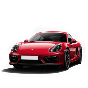 Porsche Cayman Type 981C Mileage Blocker 2013 – 2016