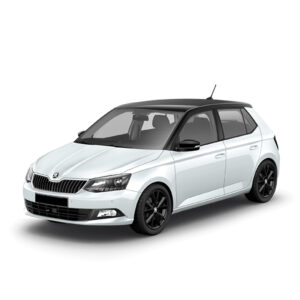 SKODA FABIA III TYPE NJ
