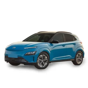 Hyundai Kona Mileage Blocker 2018 – 2022