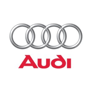 Audi mileage blockers