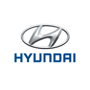 Hyundai mileage blockers