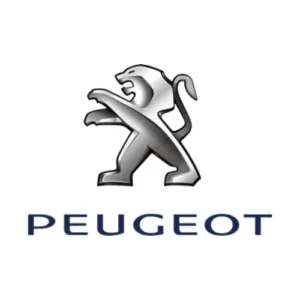 Peugeot mileage blockers