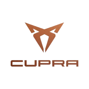 Cupra mileage blockers
